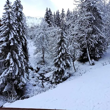 Ruisseau - Le Ruisseau 25 - Tres Bel 3 Pieces Proches Des Pistes Mae-4594